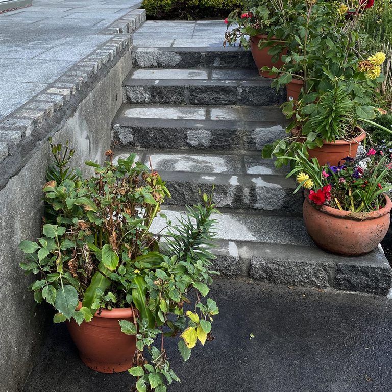 Decorative Steps